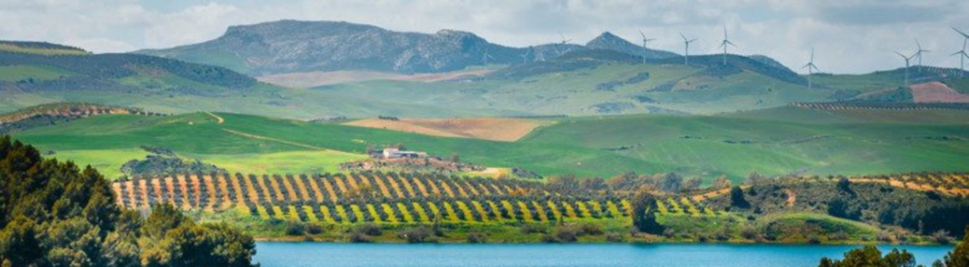 Spanish landscape